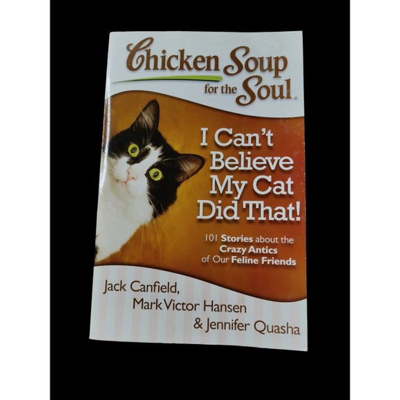 Fun book inspiring stories, by Rhonda Hogan and by Canfield, Hansen, - Picture 4 of 5